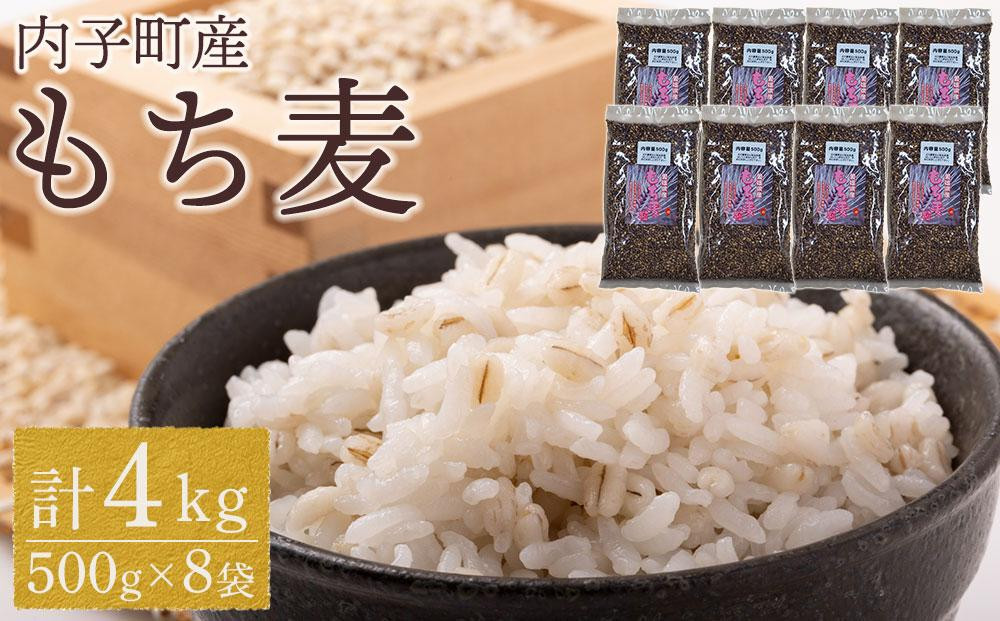 
内子町産 もち麦（4kg）【食品 加工食品 人気 おすすめ 送料無料】
