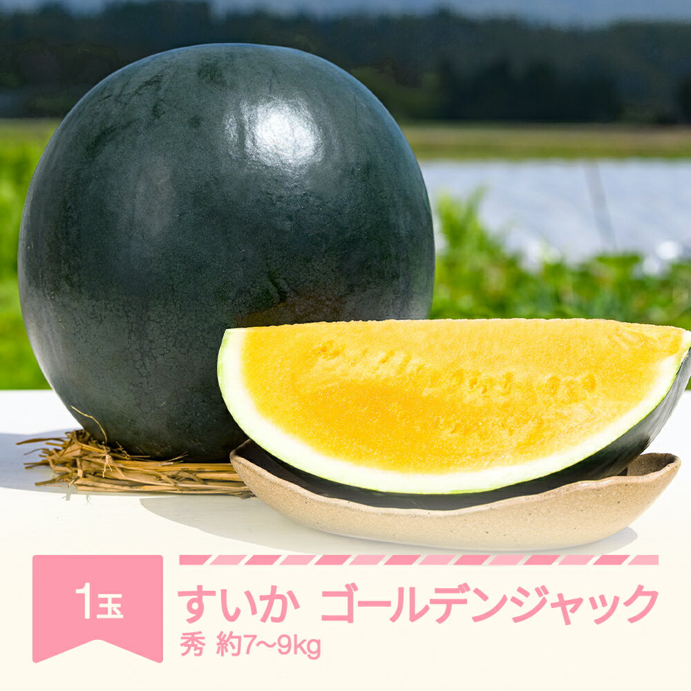【ふるさと納税】【先行予約】 すいか ゴールデンジャック 1玉 7kg~9kg 2026年産 令和8年産 送料無料 ※沖縄・離島への配送不可 no-sugjc1