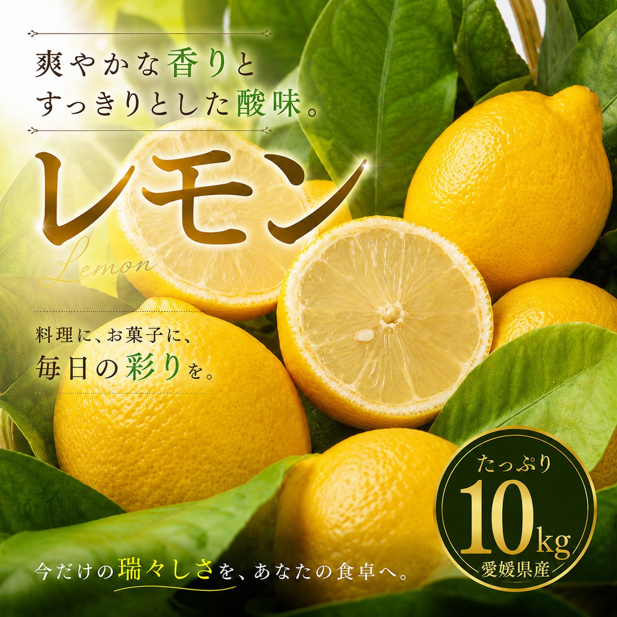 
                  【選び抜いた一箱】 香り際立つ 【レモン】 10kg 愛媛県産 【2027年1月中旬頃から順次発送】 | れもん レモン lemon 檸檬 訳あり フルーツ 柑橘 果物 おすすめ お勧め お取り寄せ ギフト 愛媛県 松山市
                