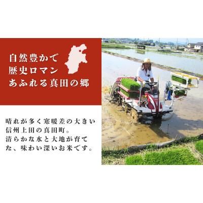 ふるさと納税 上田市 コシヒカリ 関口さんちのお米 精米 3kg[54040934] |  | 01
