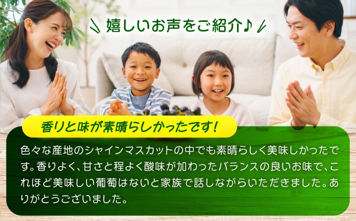 シャインマスカット しゃいんますかっと シャイン マスカット ますかっと Shine Muscat 種なし 2房 1kg 皮ごと