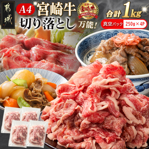 宮崎牛切り落とし1kg(真空)_MJ-8908-s