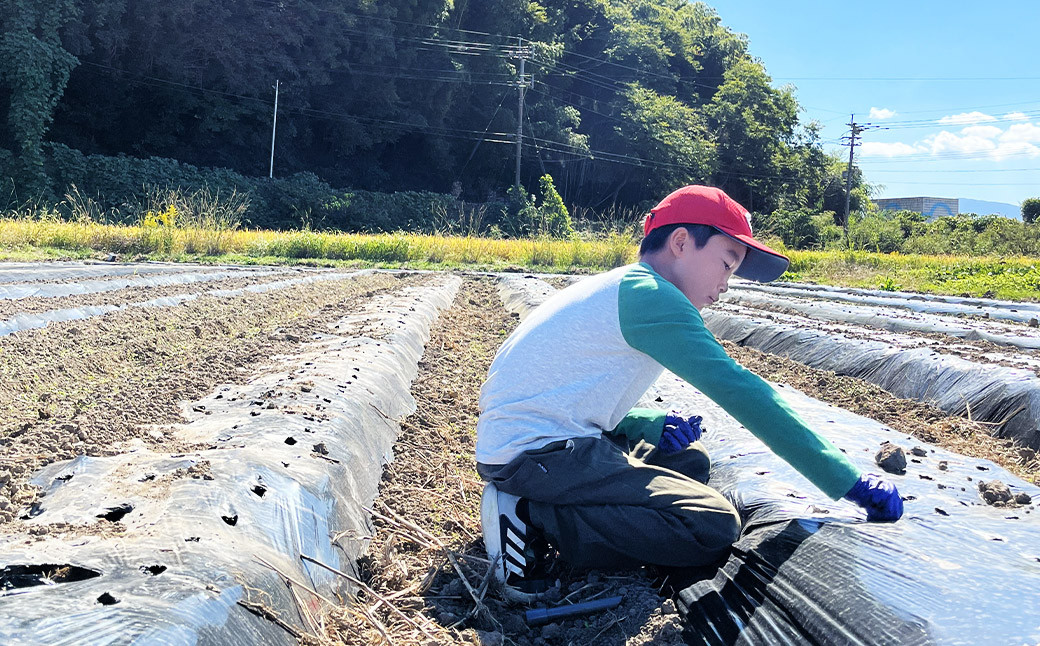 福岡県産黒にんにく100g2個入り