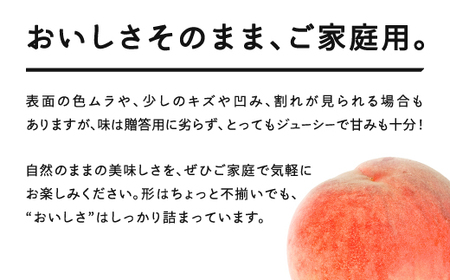 桃 約5kg 品種おまかせ 白桃