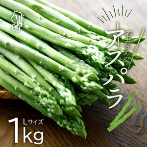 【R8.3月より順次発送】庄内町産 石井さんのアスパラガス 1kg Lサイズ（入金期限：2026.9.30）ジューシーな甘さ 野菜 グリーン アスパラ アスパラガス BBQ 旬 春 新鮮 山形 冷蔵