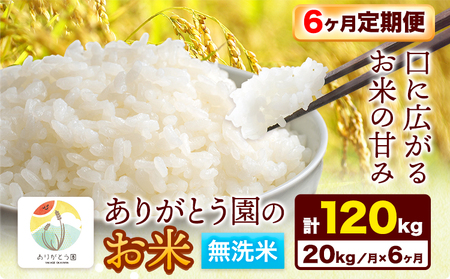 【6ヶ月定期便】ありがとう園の無洗米 20kg