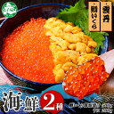 【ふるさと納税】 3009. 2種 海鮮丼 鱒 いくら醤油漬け 100g×5 約5-6人前 ウニ チリ産 冷凍 雲丹 うに 100g×2 セット いくら イクラ いくら醤油 ますいくら マスイクラ 魚卵 ます マス 海鮮 送料無料 北海道 弟子屈町