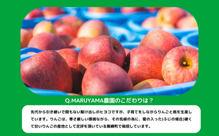 りんごジュース 完熟MARU搾り 1000ml × 6本 サンふじ 果汁100% ストレート MARUYAMA農園 沖縄県への配送不可 飲料 果汁飲料 りんご リンゴ 林檎 ジュース 信州 16000