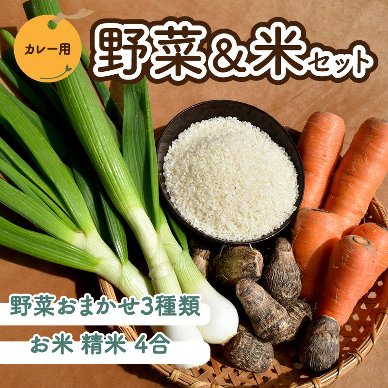 【ふるさと納税】 カレー用 野菜＆米 セット（お米4合＋野菜3種類） 先行予約 農薬不使用 自然栽培 お米 野菜 里芋 玉ねぎ 人参 さつまいも 国産 カレー カレーライス 期間限定 家庭用 贈答 旬 安心安全 無農薬 ご当地 グルメ お取り寄せ 常温配送 送料無料 愛媛県 松山市