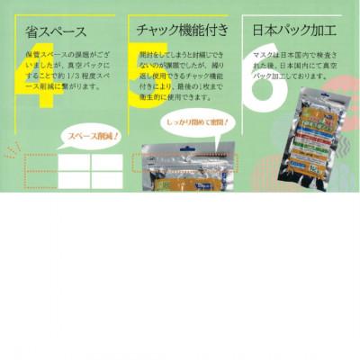 ふるさと納税 越谷市 災害時長期備蓄用　不織布3層マスク 12枚入　5袋 |  | 02