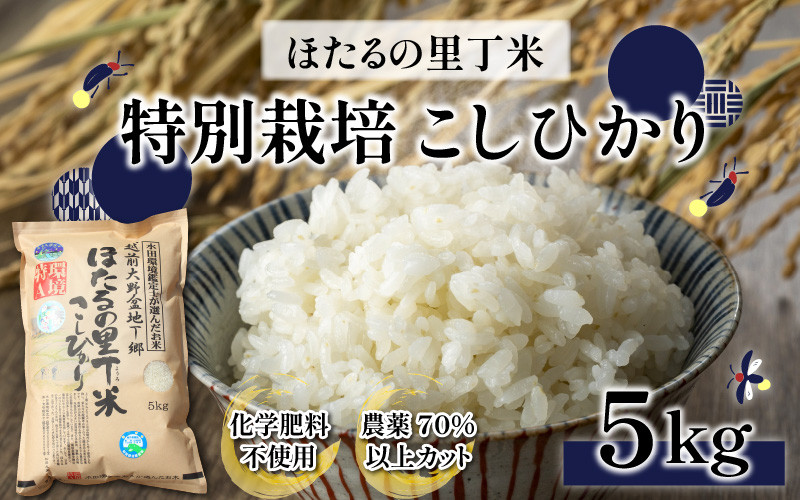 
【先行予約】【令和6年産 新米】ベストファーマー ほたるの里 特別栽培こしひかり 5kg 化学肥料不使用 農薬70％以上カット
