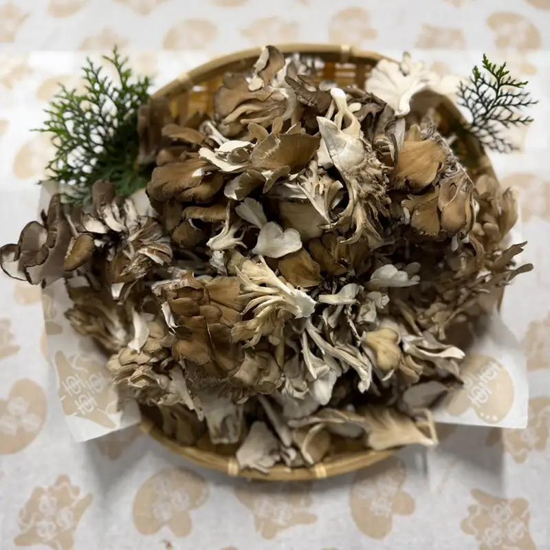 規格サイズにこだわらない轟生しいたけ 1kg と轟まいたけ ほぐし 1kg きのこ キノコ 野菜 食品 F21E-532
