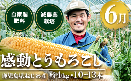 定期便 年4回 農家の感動シリーズA ( 冷凍焼き芋 ゴールドラッシュ 塩茹で落花生  紅はるか )