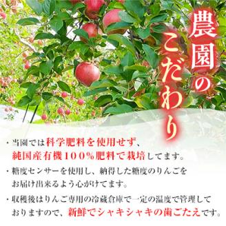 りんご「サンふじ」糖度14度以上保証 約3kg 訳あり 家庭用【配送不可地域：離島】