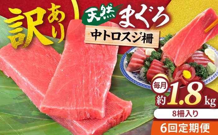 
            【全6回定期便】【訳あり】天然 本まぐろ 中トロ 計約1.8kg (8柵入り) マグロ  中トロ さしみ 刺身 お刺身 国産マグロ おすすめまぐろ 鮪 マグロ 魚 刺身 中とろ とろ トロ 訳あり 横須賀鮪 魚 横須賀【横須賀商工会議所 おもてなしギフト事務局（本まぐろ直売所 横須賀本店）】 [AKAK072]
          