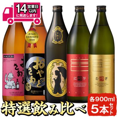 ふるさと納税 曽於市 岩川特選飲みくらべセット!900mlが5本届く!