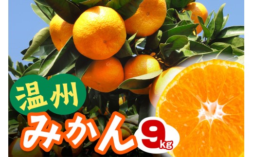 [2026年12月下旬頃から発送] 温州みかん 9kg｜先行予約 みかん フルーツ 果物 柑橘 [1293]