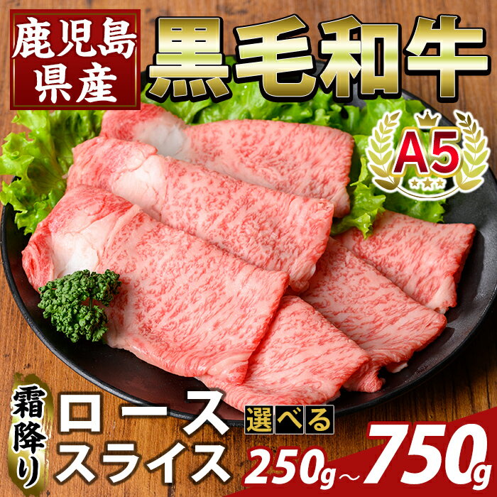 【ふるさと納税】＜選べる容量＞鹿児島県産A5等級黒毛和牛霜降りローススライス(計250g～750g) 牛肉 国産 鹿児島県産 ロース スライス 肉 精肉 【KNOT】