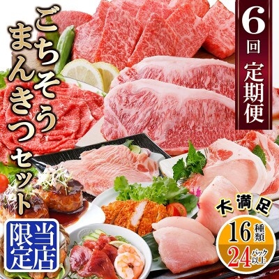 定期便6回配送 【当店限定】ごちそうまんきつセット FF−6004【配送不可地域：離島】【1492208】