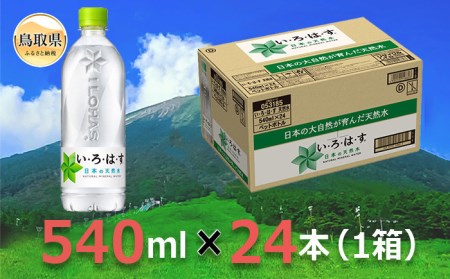 A24-233 大山天然水540ml 1箱