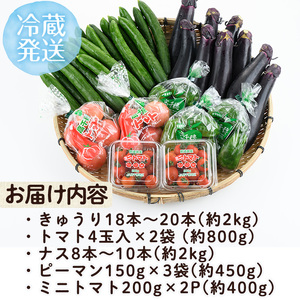 ＜数量限定・期間限定＞高千穂地区高冷地野菜詰め合わせ(5種) やさい きゅうり ピーマン トマト ミニトマト なす 茄子 冷蔵 季節 新鮮 旬 産地直送 【NK017】【宮崎県農業協同組合　高千穂地区