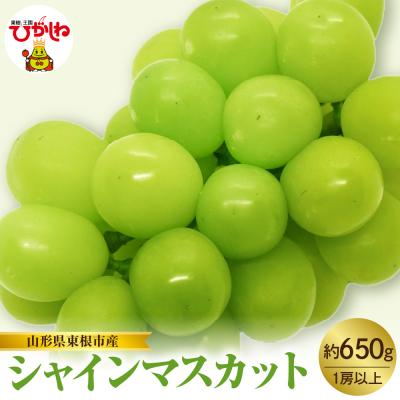 ふるさと納税 東根市 【2026年産】東根市産 シャインマスカット 約650g hi074-015