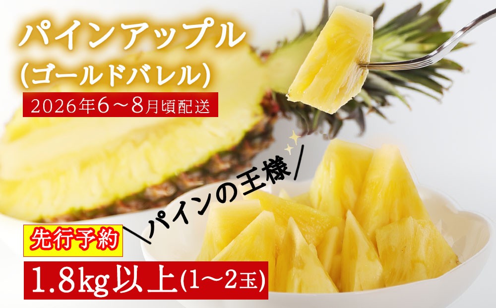 
            【2026年6～8月頃配送】今帰仁産パインアップル（ゴールドバレル）1.8㎏以上　1～2玉　先行予約　※冷蔵不可地域はお申込いただけません。
          