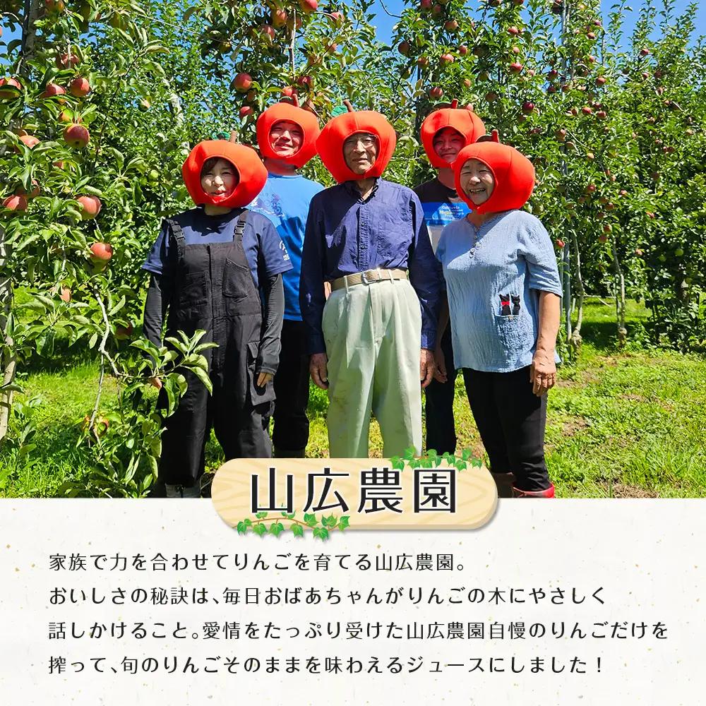 りんごジュース 芸北りんご 山広農園 果汁100% ストレートジュース 1,000ml  2本_YA023_005