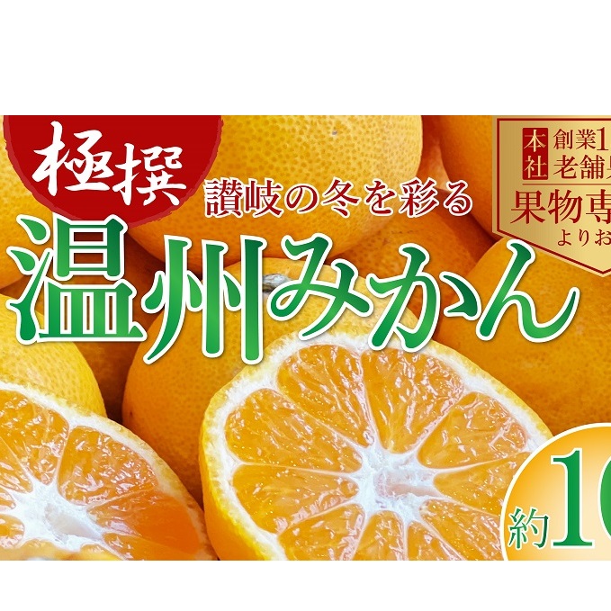 2025年11月上旬より順次発送】極撰！温州みかん　約10kg 果物 柑橘 フルーツ 程よい酸味 ジューシー 甘い 国産 日本産 冬の味覚 冬の果物 冬のフルーツ 