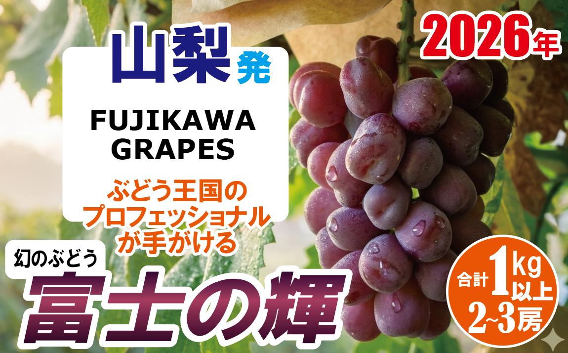 
                  《超希少品種！》上級品をお得に　【富士の輝】　1.0kg以上（2～3房）　 【2026年発送分 先行予約】- FUJIKAWA GRAPES 
                