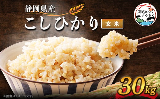 
                  ＜2026年8月発送＞こしひかり 玄米 30kg【1537425】
                