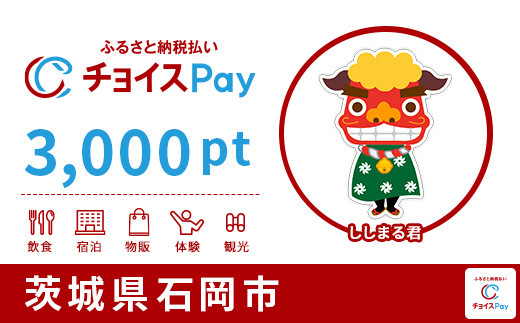 
石岡市チョイスPay 3,000pt（1pt＝1円）【会員限定のお礼の品】
