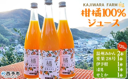 ＜柑橘100％ジュース （温州みかん2本+まどんな（愛果28号）+伊予柑+清見+せとか 6本）＞ 温州みかん ストレートジュース 果汁100％ ミカン 蜜柑 果物 柑橘 かじわらFARM 愛媛県 西予市【常温】『1か月以内に順次出荷予定』
