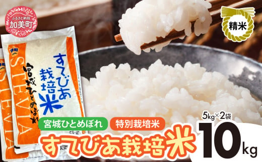 新米 精米 令和6年度産 すてびあ栽培米 宮城県産 ひとめぼれ 10kg (5kg×2袋) [菅原精米工業 宮城県 加美町 ]  | sw00002-r6-10kg