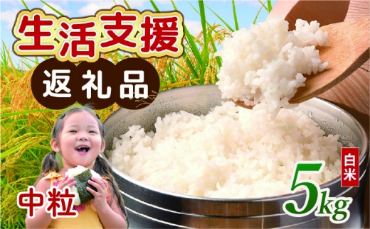 【 訳あり 】 近江ブレンド米 中粒 白米 5kg