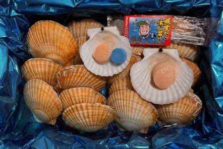 【北海道根室産】活ホタテ貝20枚(計3.5kg～4kg) B-45016