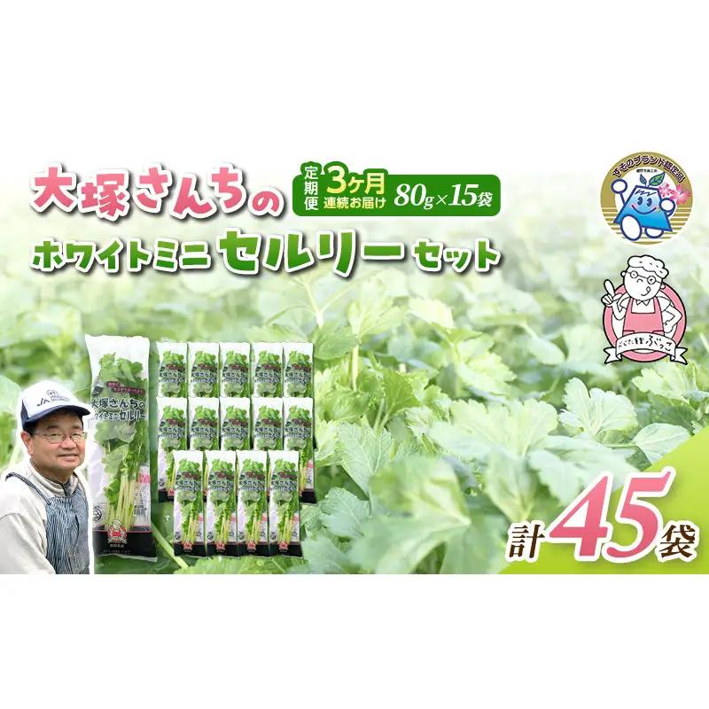 ホワイトミニセルリー セロリ 野菜 ホワイトミニセルリー【15袋 計45袋】【定期便3回】