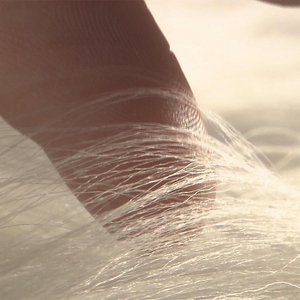 妖精の羽・塩縮オーガンジーストール 加賀友禅 鎖/イエロー  FAF-0018