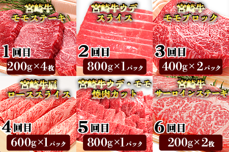 ★6か月定期便★＜宮崎牛満喫セット＞翌月末迄に第１回目発送【 定期便 肉 牛 牛肉 和牛 黒毛和牛  -】