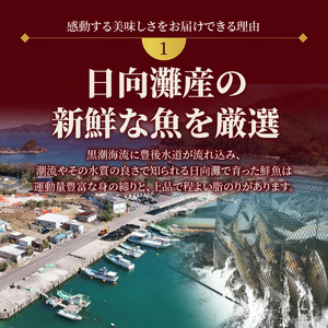 【冷蔵】延岡産活〆鮮魚職人技の脱血鮮魚シマアジ N019-YB823