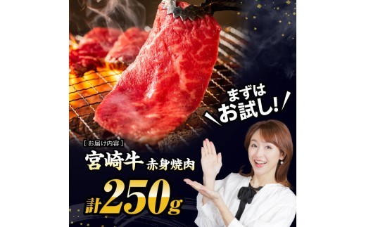 ※令和8年11月発送※宮崎牛 赤身（ウデorモモ）焼肉250g 【 牛肉 スライス 牛 肉 A4ランク 4等級 A5ランク 5等級 焼肉 】