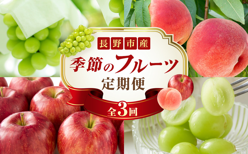 矢島農園　 長野市産 〇季節のフルーツ〇8月～10月定期便　桃・シャインマスカット・シナノスイート ※オンライン限定 |  桃 シャインマスカット ぶどう りんご フルーツ 果物 定期便 人気 おすす