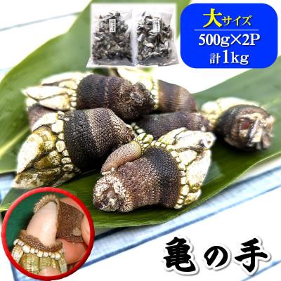ふるさと納税 新温泉町 亀の手　大サイズ　500g×2袋　計1kg　兵庫県新温泉町　