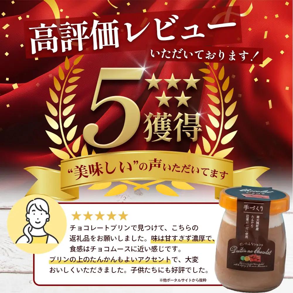 だいたんな！恋するショコラ & バウムセット（だいたんなショコラ6個＋バウムクーヘン・プレーン）SH-3| たんかん ソース ムース チョコレートムース ショコラ贅沢 スイーツ フルーツ プリン バウ