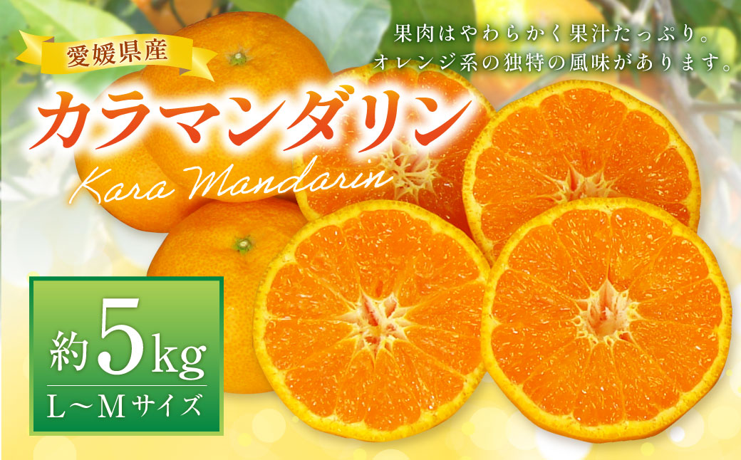 カラマンダリン L～Mサイズ （約5kg） みかん 柑橘 果物 くだもの フルーツ （523） 【2025年4月上旬～2025年5月上旬発送予定】