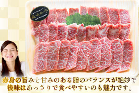 AJ564 【12回定期便】長崎和牛 バラ 霜降り 焼肉用 約1kg (500g×2P)   [ まるしん商会 長崎県 島原市 ]
