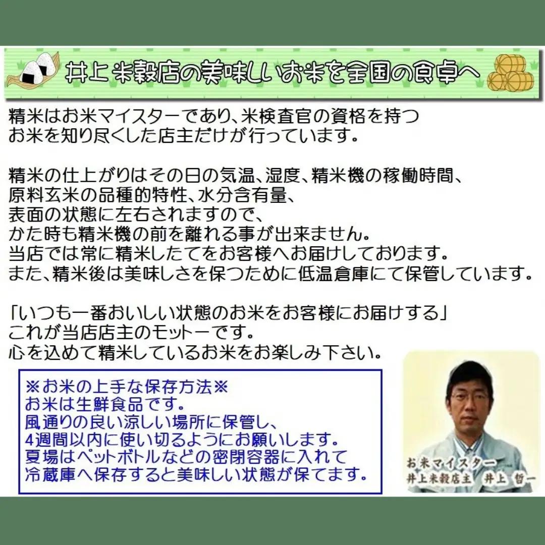 【令和7年産】3ヶ月定期便 ミネラル栽培こしひかり 5kg×3回 計15kg 白米 精米 井上米穀店  新潟県 米 こめ コメ 1I12040