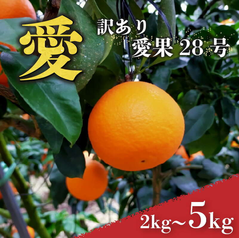 【ふるさと納税】 愛媛 みかん 愛果28号 訳あり ご家庭用 2kg / 3kg / 5kg あいか 【先行予約 2025年12月上旬から発送】 | 紅まどんな と同品種 柑橘 みかん まどんな ワケアリ 柑橘 みかん 果物 おすすめ 高級 人気 お取り寄せ グルメ ギフト ご当地 送料無料 愛媛 松山