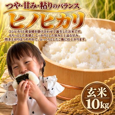 ふるさと納税 柳川市 【令和8年産】ヒノヒカリ 玄米 10kg
