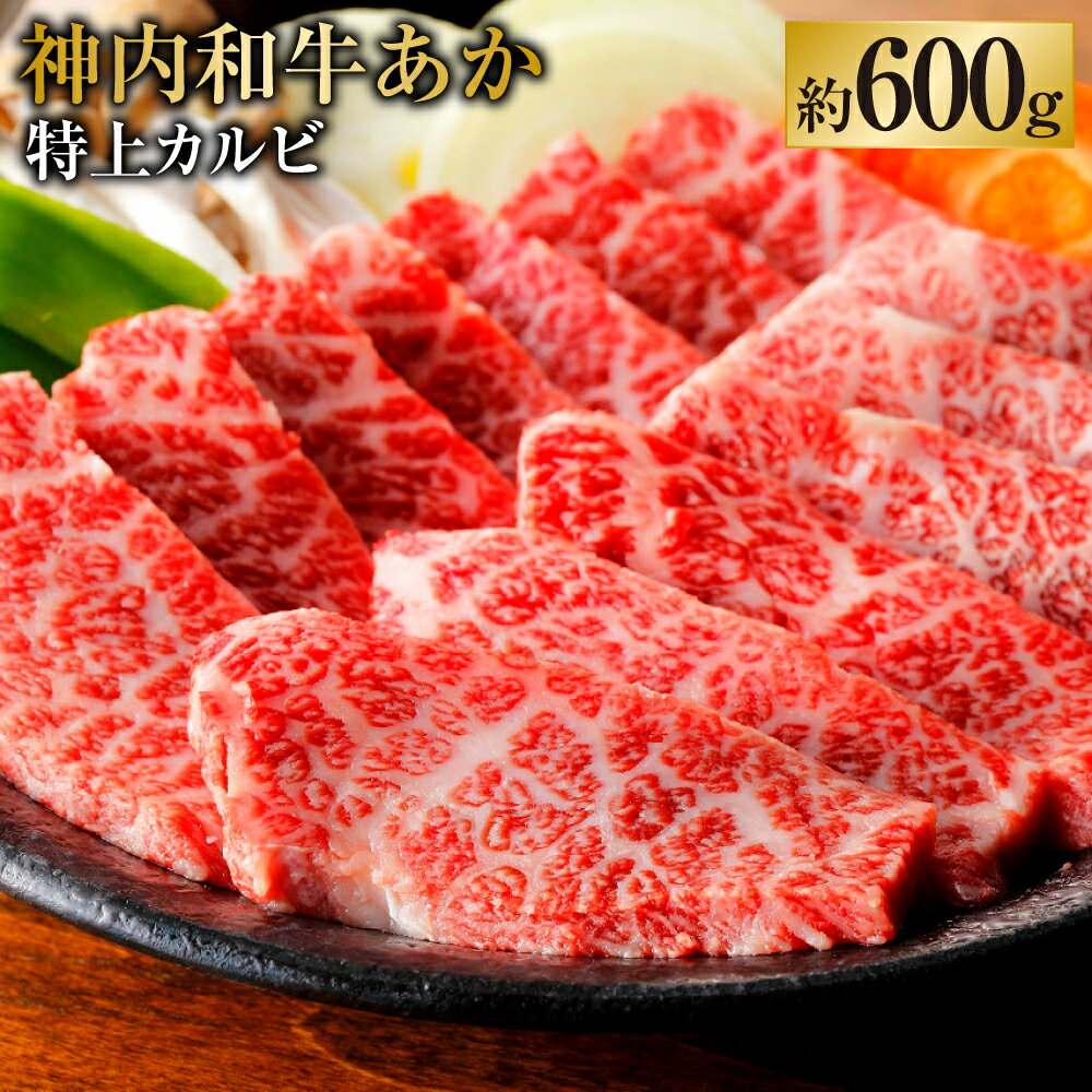 【ふるさと納税】神内和牛あか 【特上カルビ】約600g 1パック 肉 お肉 牛肉 カルビ 特上 冷凍 北海道 浦臼町 送料無料